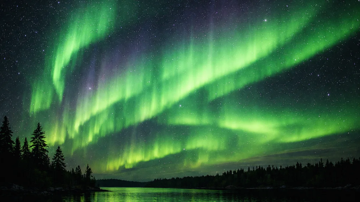 Vibrant green and purple northern lights sweeping across a starry night sky above a dark silhouette of pine trees.