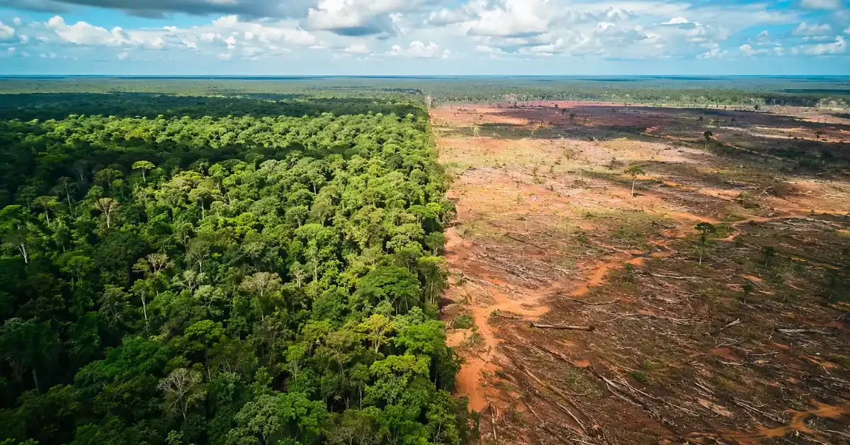 Aerial view comparing a lush African tropical rainforest with an adjacent area heavily cleared by deforestation and logging.